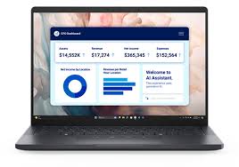 DELL PRO 13 PREMIUM PA13250 LAPTOP (INTEL CORE ULTRA 5 236V/16GB/512GB/13" FHD+/WIN11P) - BTO203 PA13250 EMEA